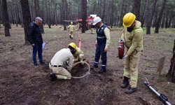 Orman kahramanları Döşemealtı’nda yarıştı