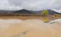 Aliye Coşar’dan Elmalı Ovası için kritik uyarı: “Türkmentepe Barajı zorunluluktur”