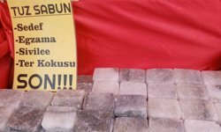 Kaya tuzundan egzamaya bitkisel çözüm