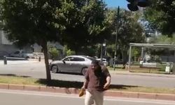 Antalya'da kargalar tatilciyi sokak ortasında kovaladı