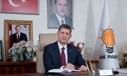 Ali Çetin'den CHP'ye video cevabı: "Keşke biz de sizin eserlerin önünde video çekebilsek"