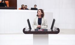 Aliye Coşar: “Varlık barışı değil, hukukun üstünlüğü şart”