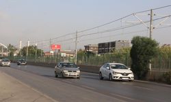 Antalya-Alanya yolunda şaşırtan görüntü: Yolun ortasında sessizce büyüdü!