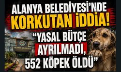 Alanya Belediyesi’nde korkutan iddia! Sokak hayvanlarına bütçe ayrılmadı, 552 köpek öldü