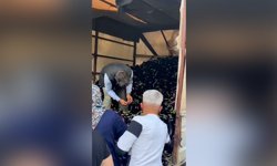 Alanyalı üreticiden dikkat çeken protesto! Patlıcanı ücretsiz dağıttı