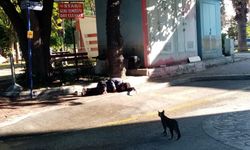 Antalya’da sokakta yaşam alarm veriyor! Parklar, ve kaldırımlar evsizlere ev oldu