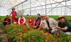 FoodFest Antalya'da şefler ve üreticiler aynı hasatta buluştu