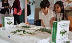 Antalya'da minik eller ipekböceği besliyor