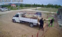 Burdur'da koç, sahibine tos attı