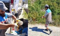 Alanya'da vicdansızlık: Ölüme terk ettiler
