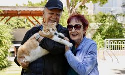Antalya'da 80 yaşındaki çiftin mutluluk kaynağı: Kedileri Foça