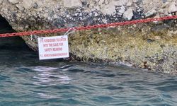 Kemer’de Akdeniz foklarının üreme mağarası koruma altına alındı!