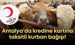 Antalya’da kredine kartına taksitli kurban bağışı!