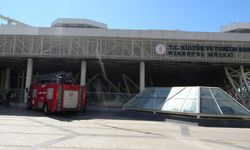 Antalya Nekropol Müzesi'nde güvercinleri kurtaracak karar!