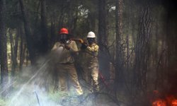 Antalya, yangın riskinde 1. sırada: Ekip tam kadro sahada