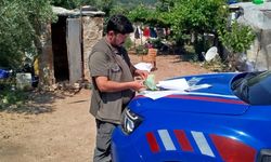 Finike'de yasa dışı keklik satışına operasyon