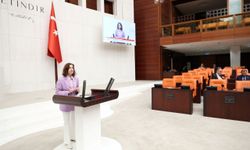 Aliye Coşar: “Toprak Kanunu turizmciye yeni yük getiriliyor”
