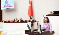 Aliye Coşar'dan COP31 hatırlatması: "Ormanlarımızın yok edilmesi kabul edilemez"