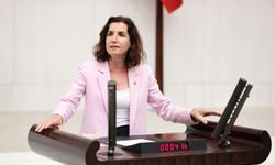 Aliye Coşar: "Yargı, siyaseti dizayn ediyor"