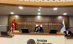 Meclis'te sivrisinek krizi: “Antalyalıların üzerine zehir sıkmak istemiyoruz”