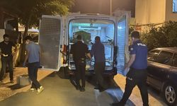 Bodrum’da yürek burkan olay! Babasının ölümünü fark edemedi