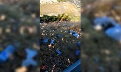 Çayağazı Plajı'nı çöplüğe çevirdiler
