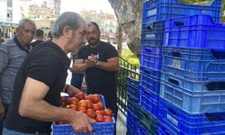 Antalya’da domates 5 TL’ye düştü: Çiftçi, bedavaya dağıttı