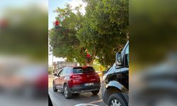 Muratpaşa’da tehlikeli kavşak! Işıklar görünmüyor