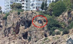 Antalya’da 40 metrelik falezlerde ölümle burun buruna yaşam