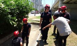 Antalya'da anne ve babasının gider borusuna sıkıştığını iddia etti!