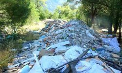 Muğla’da ormanlık alanlar moloz altında kaldı!