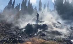 Antalya Serik'te çıkan ot yangını çim seralarına ulaşmadan söndürüldü