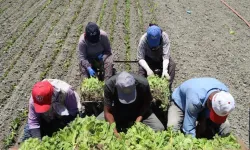 Yargıtay'dan milyonlarca çalışanı ilgilendiren karar! İhbar tazminatının yolu açıldı