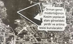 Karacaören içme suyu hattında yeni tartışma! Kepez'e yapılacak arıtma tesisi için ağaçlar kesilecek