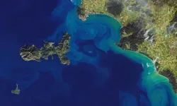 COP31 öncesi Antalya için ortak iklim mesajı: “Akdeniz’in sesi güçlenecek”