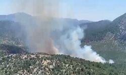Akseki’de orman yangını! Ekipler havadan karadan müdahale ediyor