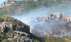 Alanya'da evler tahliye ediliyor! Alevlerle mücadele sürüyor