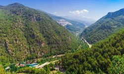 Alanya'da 26 bin hektarlık Hıdırellez Orman Parkı kiraya verilecek!