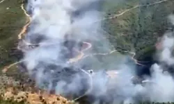 Alanya'da ormanlık alanda yangın: Ekipler seferber oldu