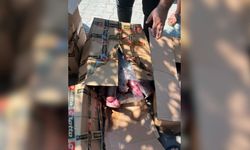 Alanya'da skandal! Nereden geldiği belli olmayan 300 kilo ete el konuldu