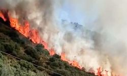 Antalya Demre’de orman yangını başladı