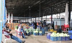 Antalya hali yangın yerine döndü: 45 günde 3 milyar TL buhar oldu