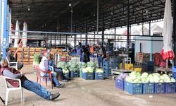 Antalya Hali'nde dev konkordato şoku: Onlarca alacaklı kara kara düşünüyor