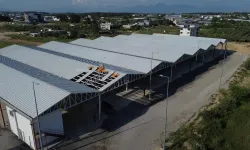 Antalya'da 25 milyon liralık pazar yeri çürümeye terk edildi