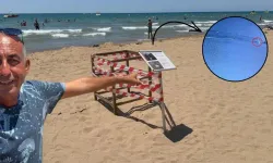 Antalya'da caretta caretta yuvasına skandal müdahale!