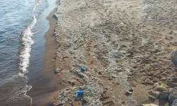 Antalya'da deniz kirliliğinin nedeni belli oldu