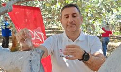 Antalya’da faydalı böcekler narenciye bahçelerinde doğayla buluştu