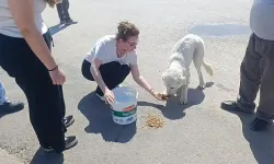 Antalya'da günlerdir gelen sesin sırrı ortaya çıktı! Kurtarılan köpeğe sarılıp ağladı