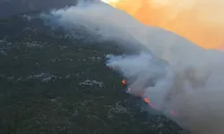 Antalya'da orman yangını! Kaş'ta alevlere havadan ve karadan müdahale