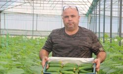 Antalya'da sera sezonu 45 derecede kapandı! Topraklar naylonla örtüldü